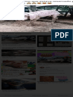 Carne de porco magra - imagens e informações