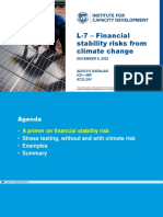 L7 - Financial Stability Risks From Climate Change