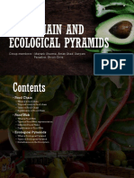 Food Chain and Ecological Pyramids