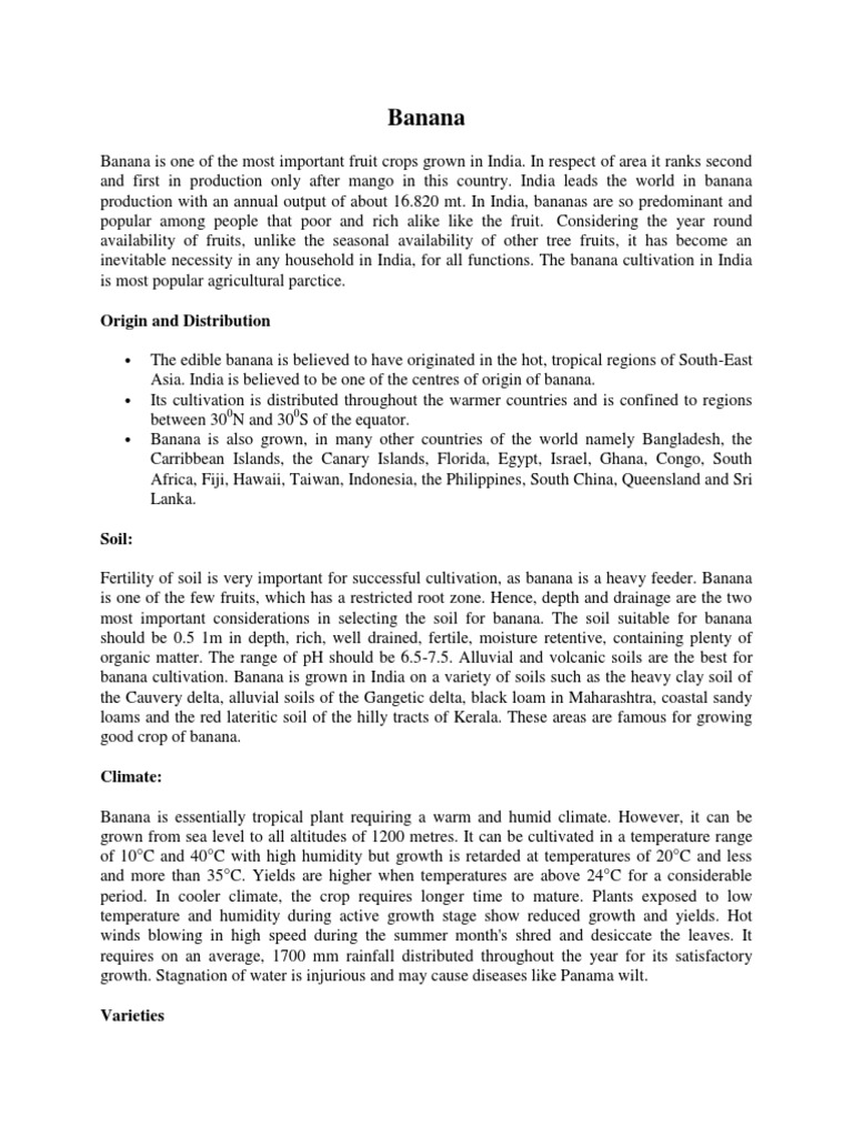 Banana Origin and Distribution PDF Banana Leaf