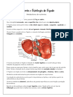 Anatomia e fisiologia do fígado