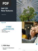 Sap Cpi Roadmap 2023