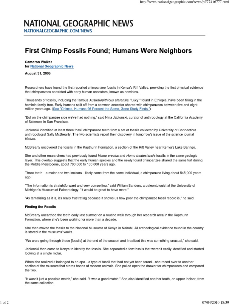 Chimpanzee Fossil 3 PDF Homo Fossil
