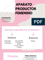 Aparato Reproductor Femenino
