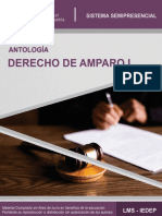 U1 Derecho de Amparo I