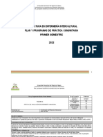 Plan de práctica comunitaria en Enfermería Intercultural