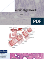 3.2-Práctica Digestivo II Completo