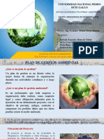 G-2 - PLAN de GESTIÓN AMBIENTAL. Plan Preventivo Corrector Ambiental