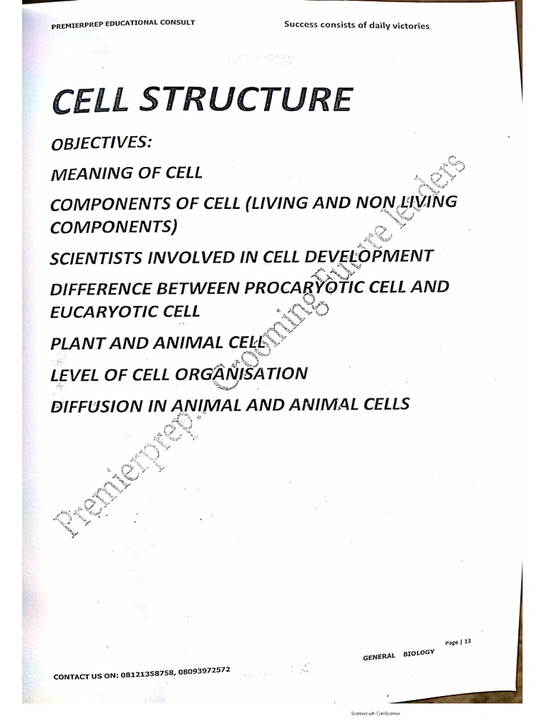Bio 001 - Cell Structure | PDF