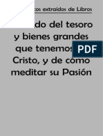 Tratado Del Tesoro y Bienes Grandes Que Tenemos en Cristo, y de Cómo Meditar Su Pasión