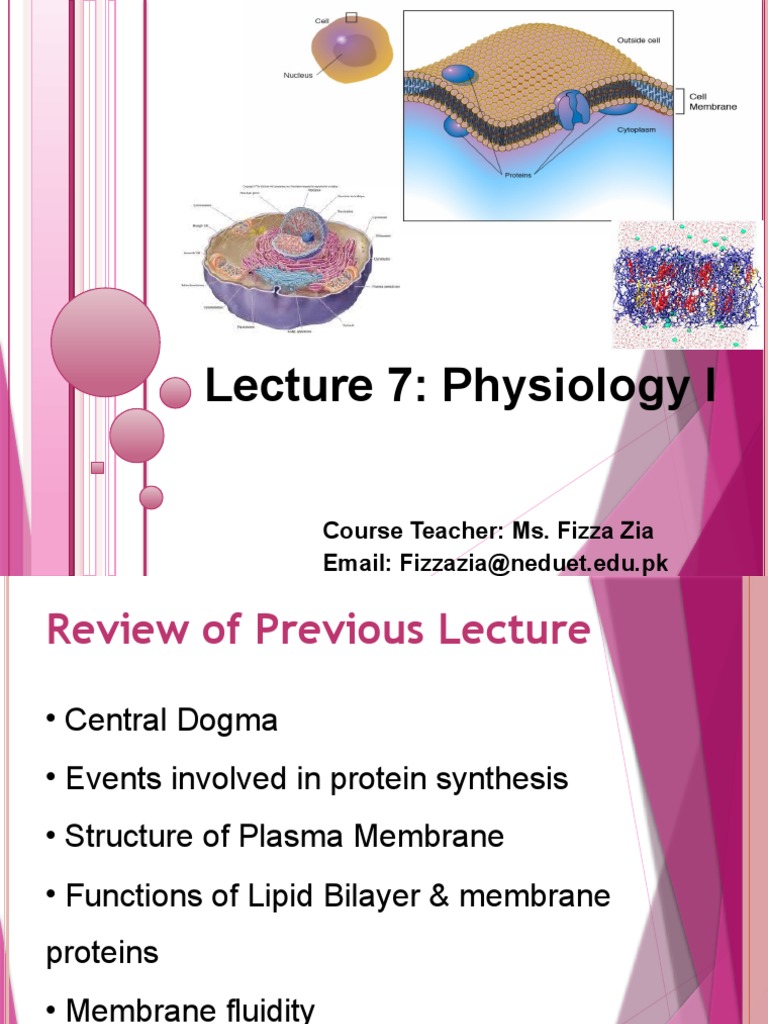 Physiology Lecture 7 | PDF | Cell Adhesion | Cell Membrane