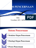 Sistem Pencernaan