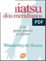 Resumo Shiatsu Dos Meridianos Um Guia Passo A Passo Wanderley Mascarenhas de Souza