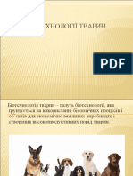 Документ PDF 4