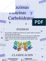 Enzima, Proteina, Carbohidrato-1