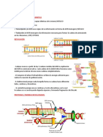 Semana 09 - Replicación Adn