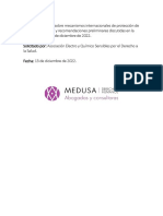 MEDUSA - Consulta Sobre Mecanismos Internacionales de Protección de DDHH