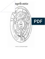 CATEGORII Estetice RAPORTURI