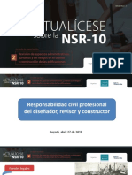 2-Responsabilidad Profesional Del Disenador y Del Revisor de Disenos