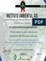 Certificado GIS EFPM