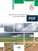 Mudança Do Clima e A Agropecuária Brasileira
