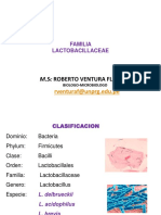 Lactobacillus y Listeria