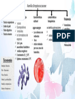 Mapa Conceptual de Familia Streptococcaceae