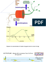 Phyto Hormones