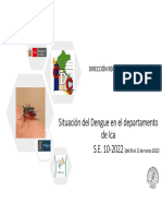 SE10 Dengue - Diresaica - 12 03 2022