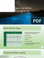 Algas e Os Ciclos Reprodutivos - pptx.Pptx-1