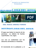 12. Microbiologia Del Agua
