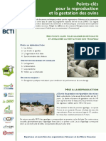 2 Points Cles Pour La Repro Et La Gestation Des Ovins INT BCTI 2020 VF