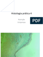 histologiapratica4