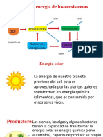 Semana # 6 Cadena Trofica