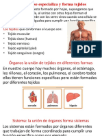 SEMANA 1 La Celula Tejidos, Organos y Sistemas