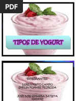 Download Tipos de Yogurt by Laura Katherine Julio Racine SN62284558 doc pdf