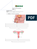 ATIVIDADE COMPLEMETAR anatomia