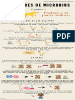 INFOGRAFIA DE MICROBIOLOGIA 