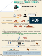 INFOGRAFIA MICROBIOLOGIA