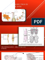 Sexual Reproduction in Flowering Plants