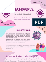 Virus respiratorios: Pneumovirus y metapneumovirus