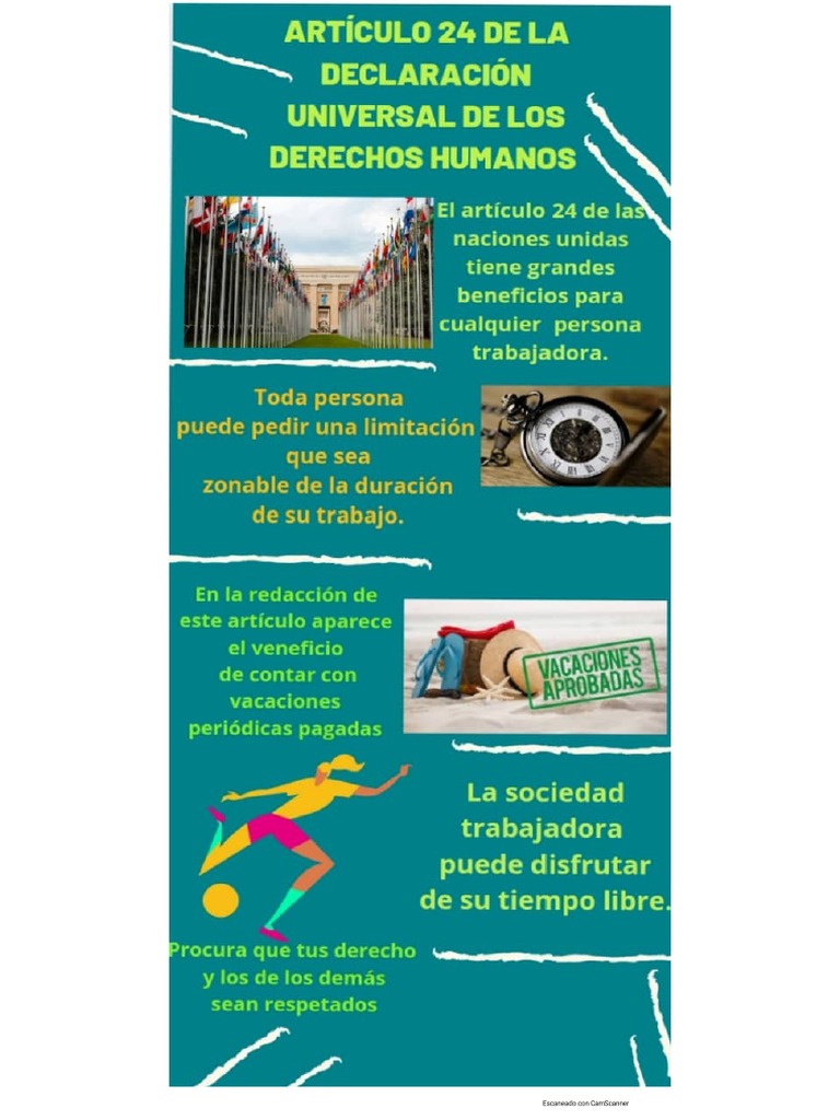 cartel-articulo-24-pdf