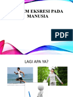 SISTEM EKSRESI PADA MANUSIA