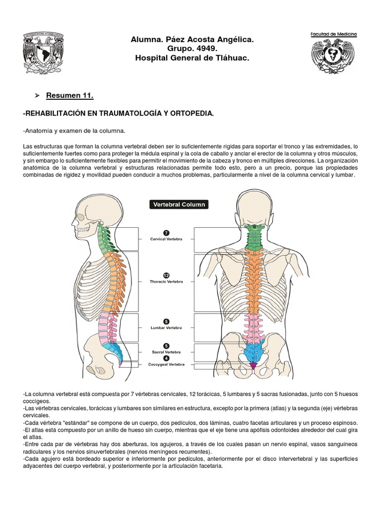 Anatomía y Funciones de la Columna Vertebral | PDF | La columna ...