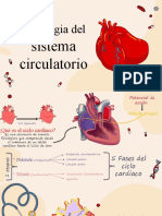 Fisiologia Del Sistema Circulatorio