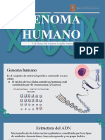 Clase 1 - Estructura Del ADN