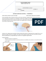 Laboratorio Sistema Nervioso Humano 11°