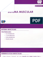 AULA Sistema Muscular