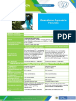 Guía de cultivo de la guanábana Agrosavia Fecunda