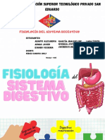EXPOSICIÓN anatomía sistema digestivo